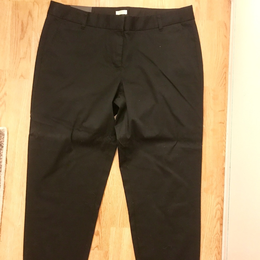 NWT J Crew Skimmer Pant